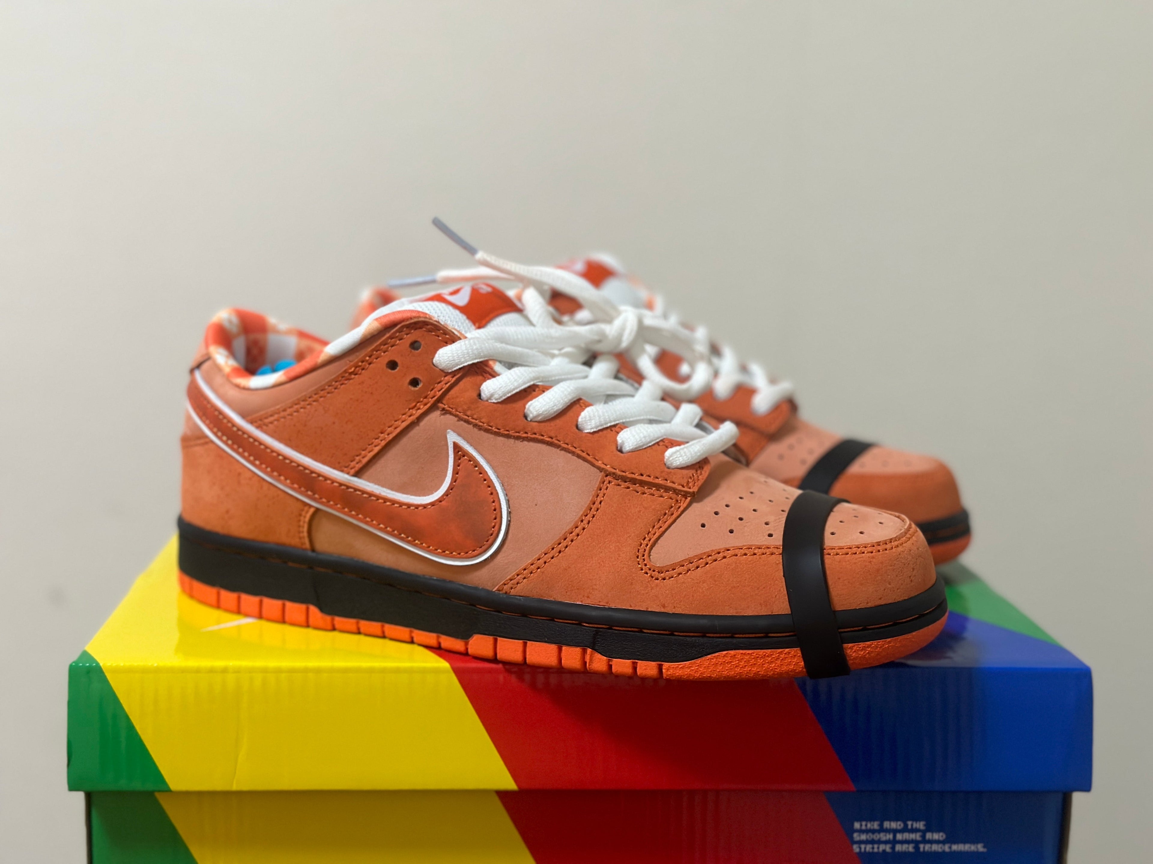 Nike SB Dunk -  Lobster