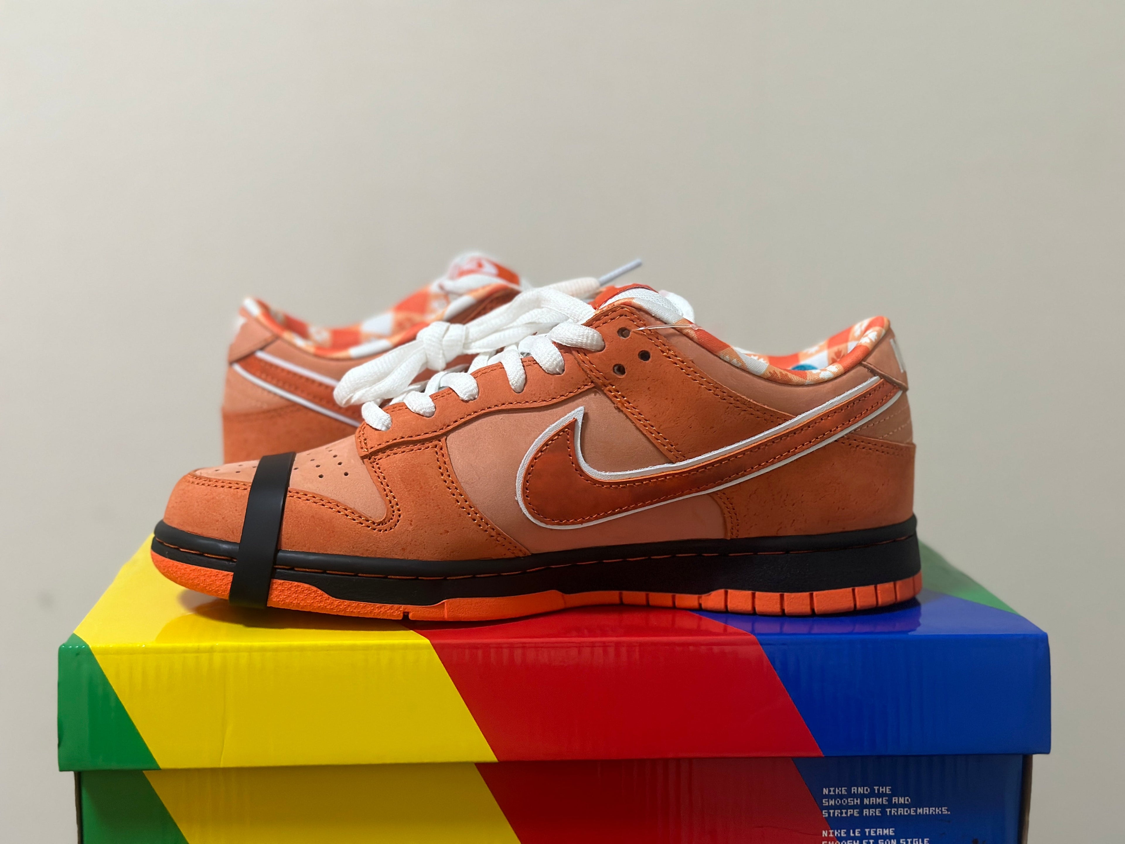 Nike SB Dunk -  Lobster