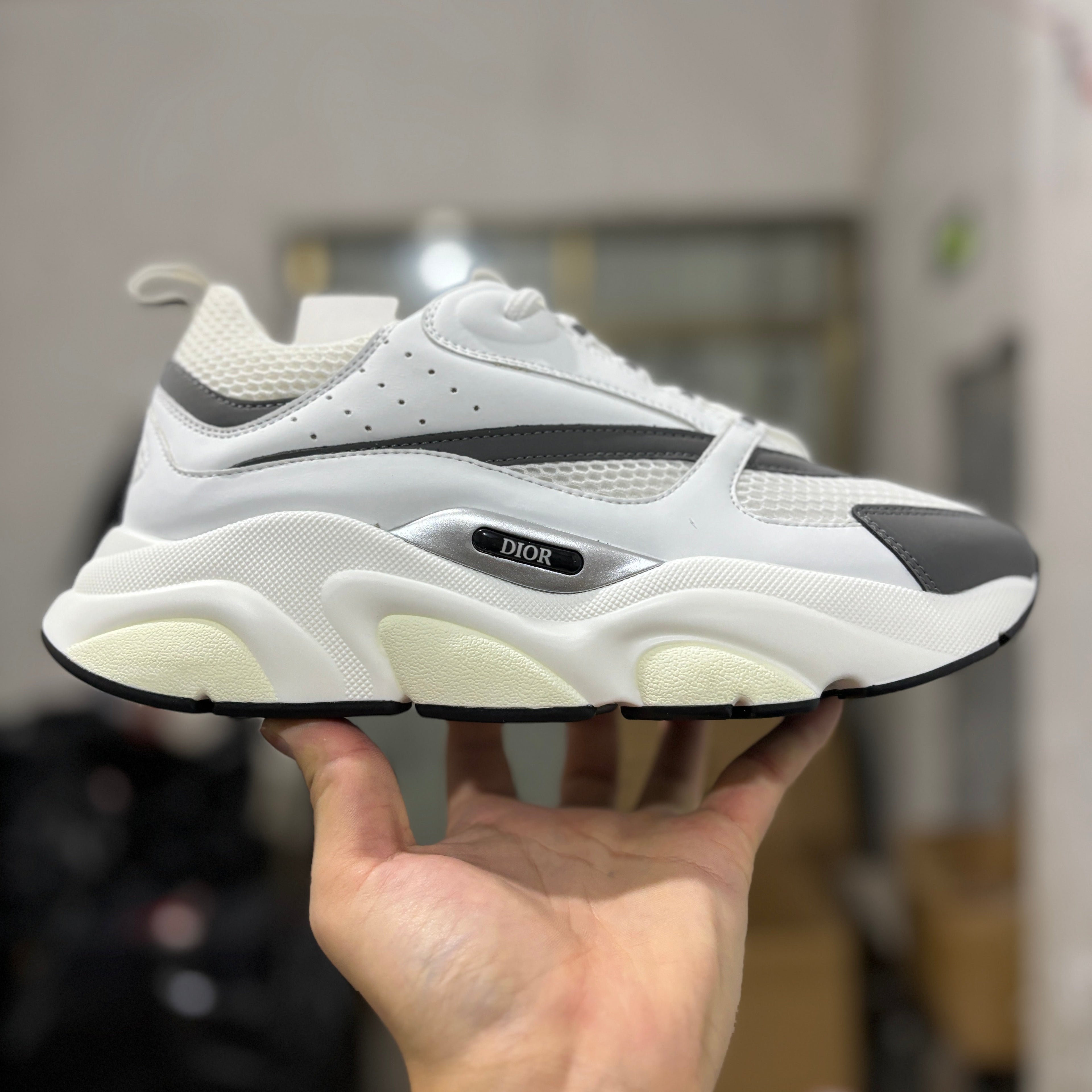 Dior B22 White/Grey