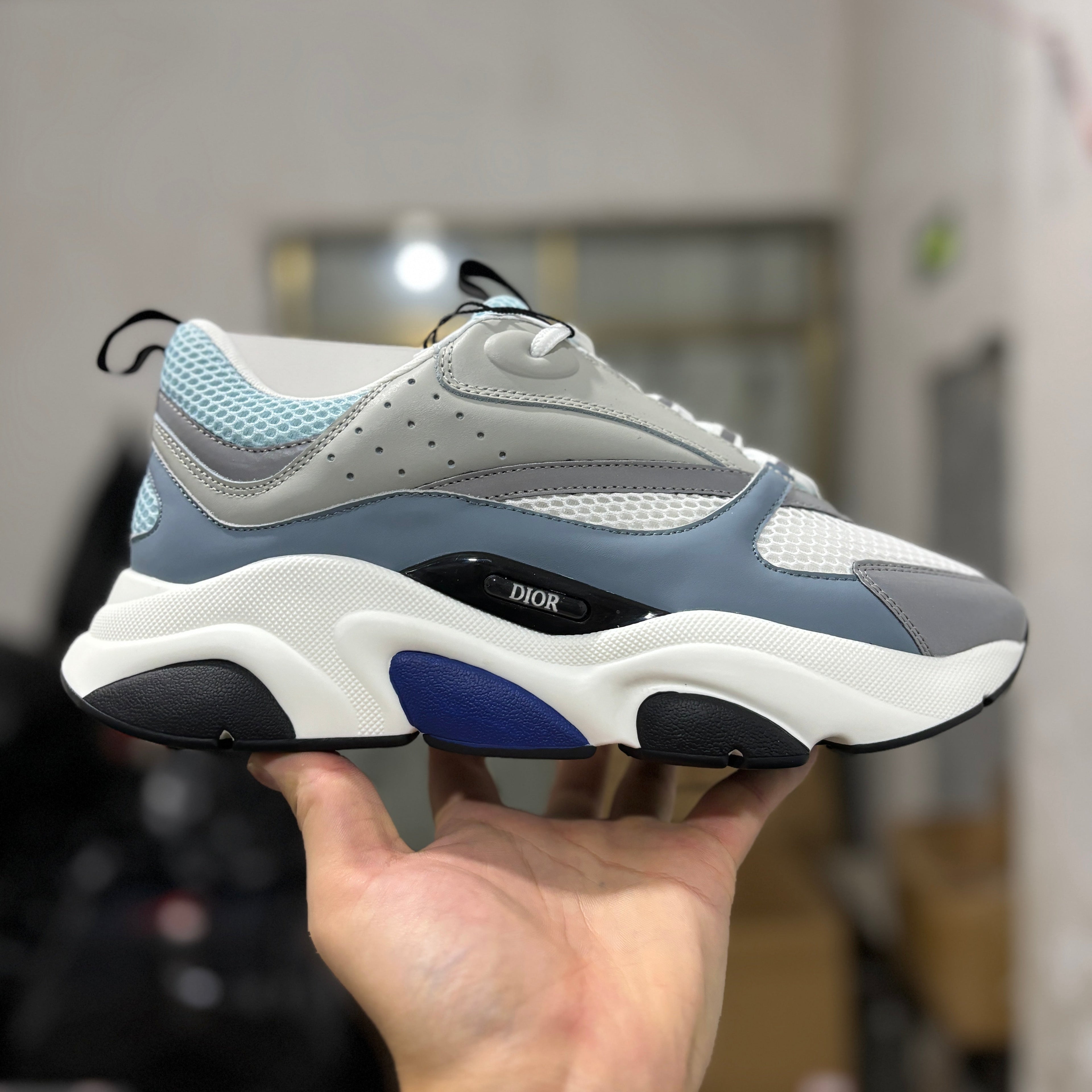 Dior B22 Grey/Blue