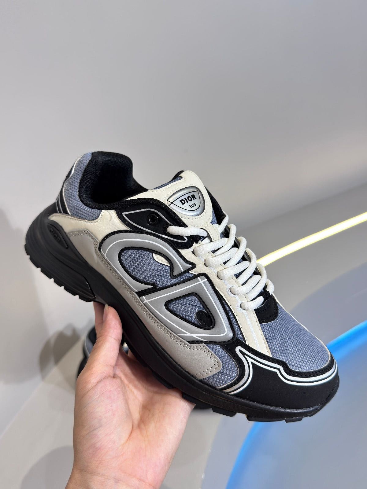 Dior B30 Sneaker