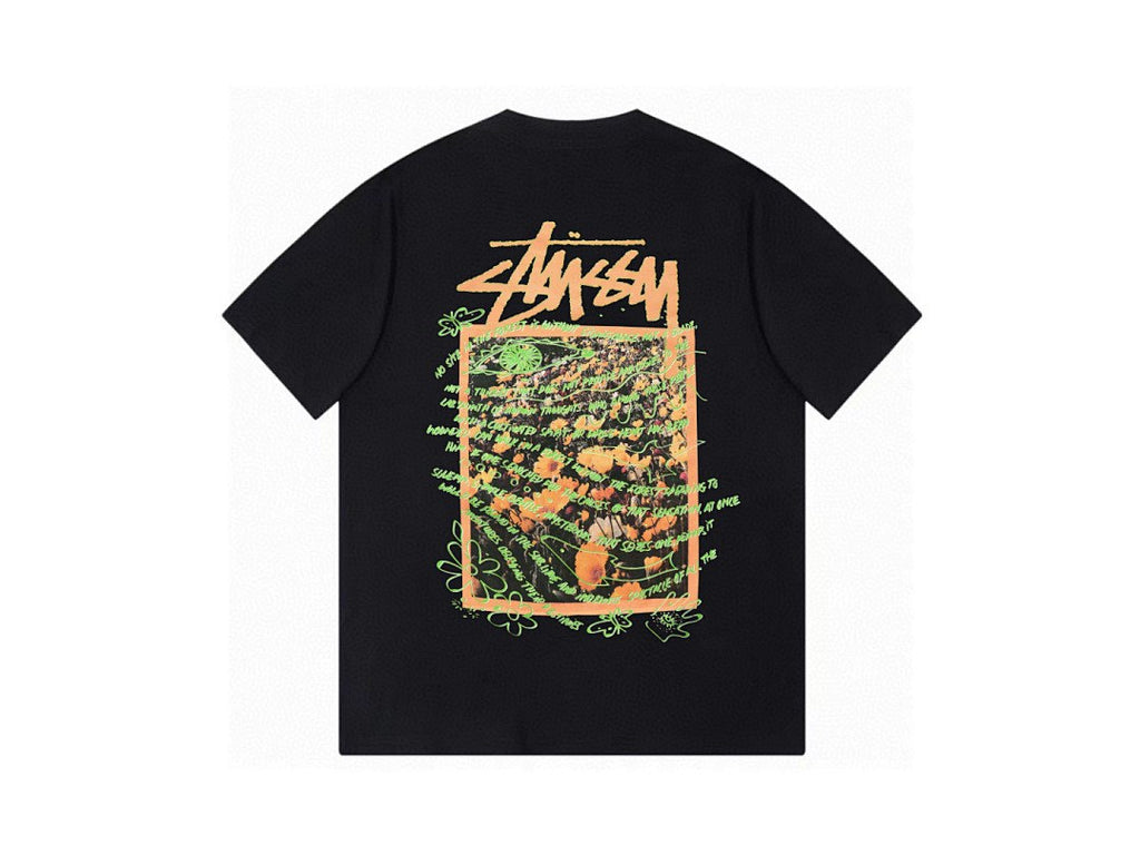 Stussy Painted Box Tee