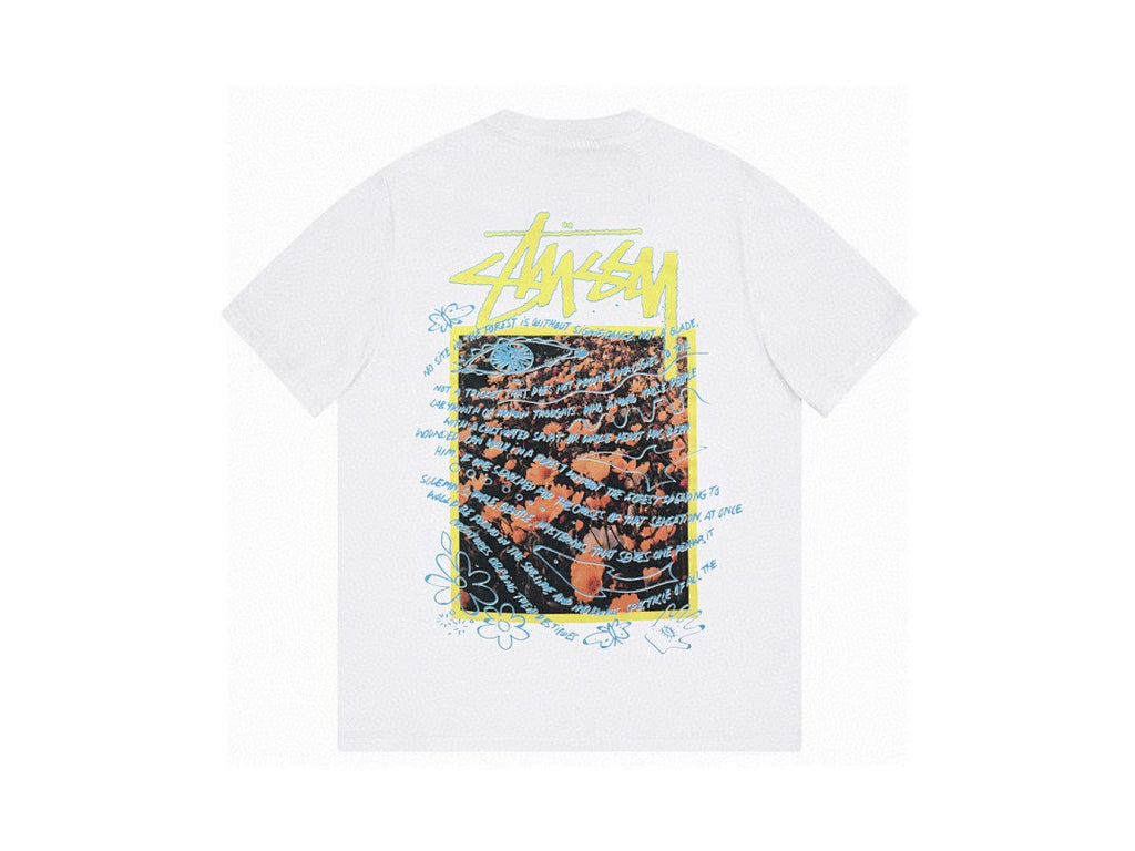 Stussy Painted Box Tee